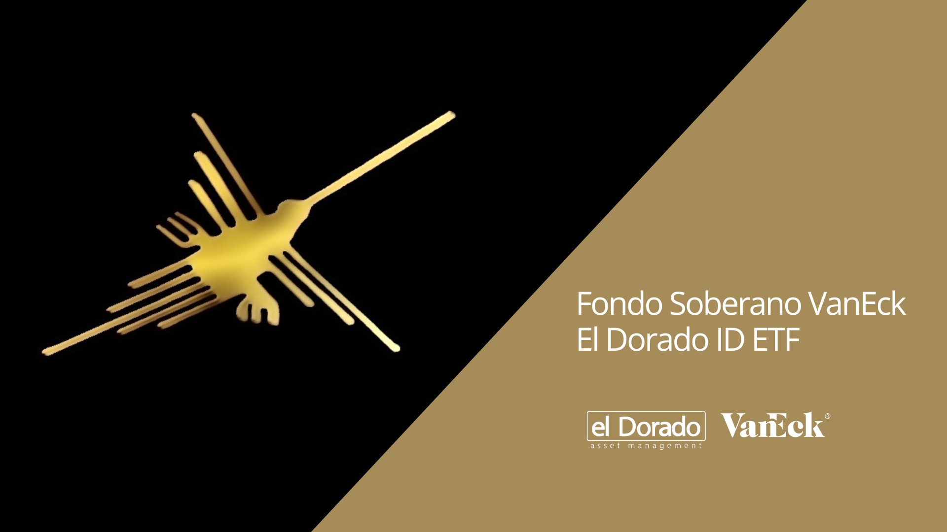 Fondos – Contenido web